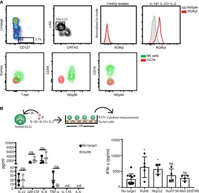 Human ILC3 Exert TRAIL-Mediated Cytotoxicity Towards Cancer Cells
